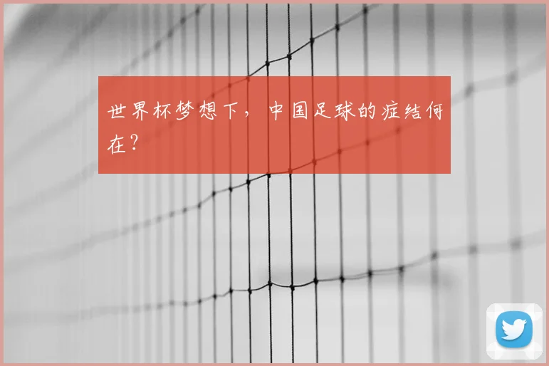 世界杯梦想下,中国足球的症结何在?