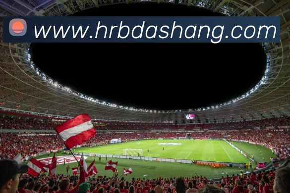 多媒体互动体验