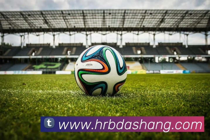 米兰体育官网登陆APP 高清赛事图